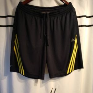 Classic Adidas Running Shorts (L)